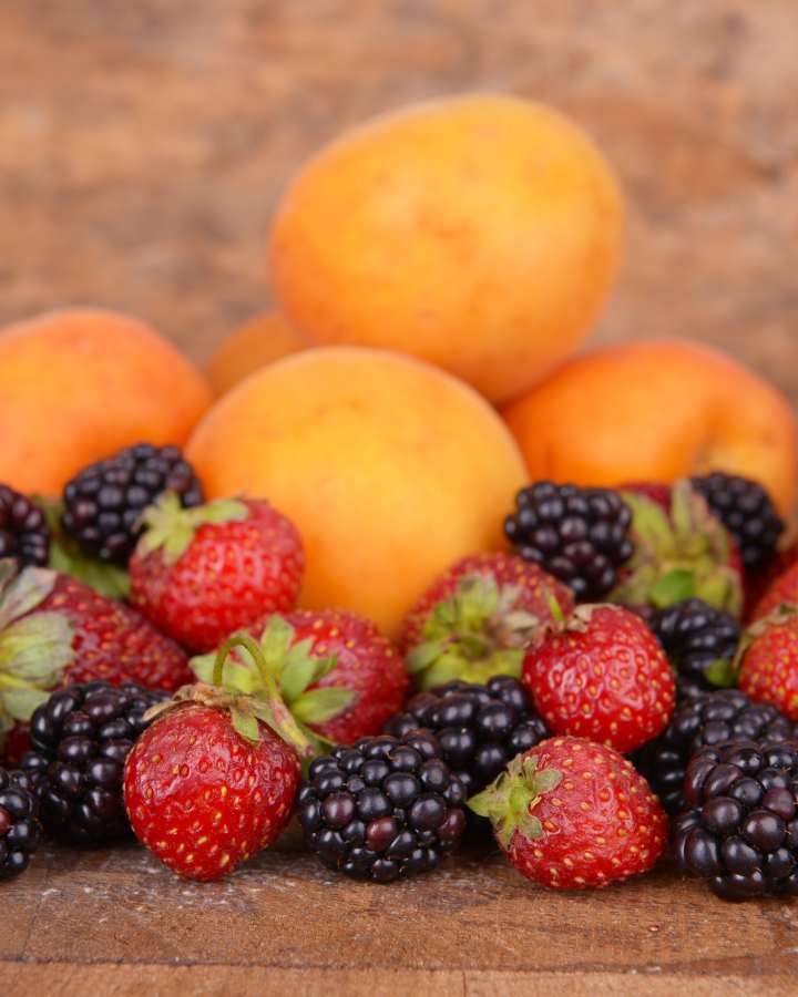 Curso-de-buenas-practicas-agricolas-para-mora-y-naranja-SENA