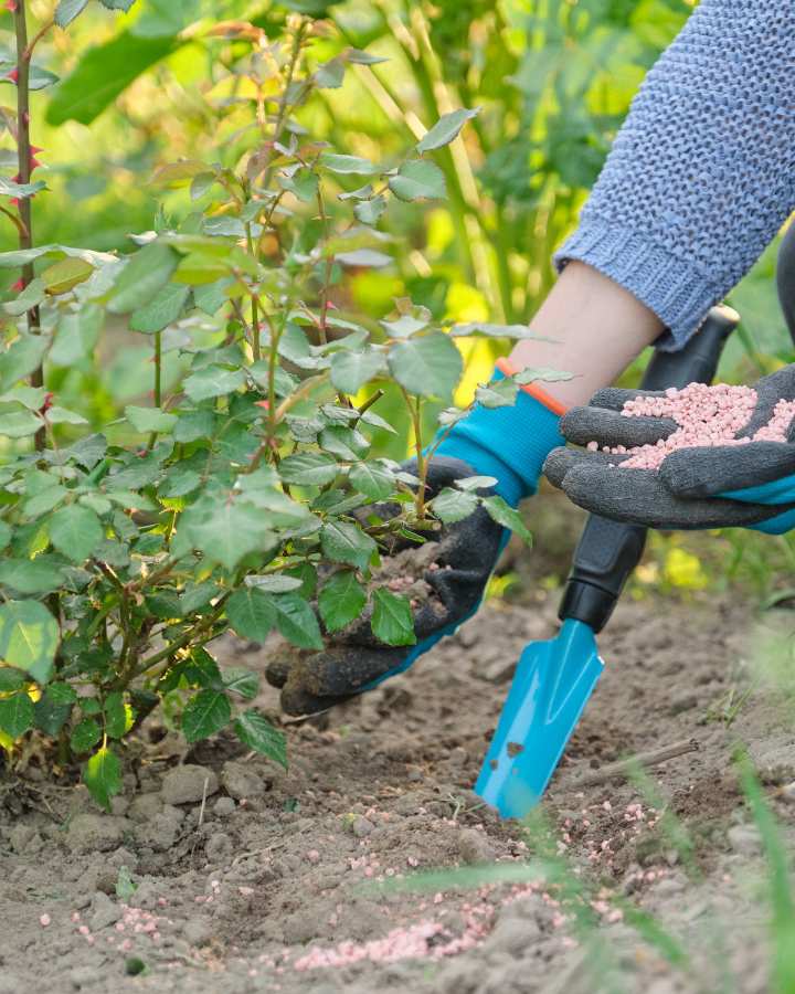 Curso-de-fertilizacion-agricola-ecologica-SENA
