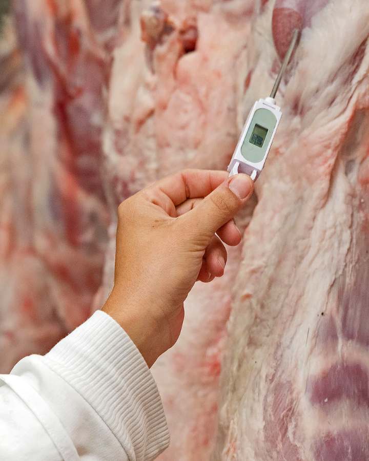 Curso-de-procesos-tecnologicos-de-la-carne-SENA